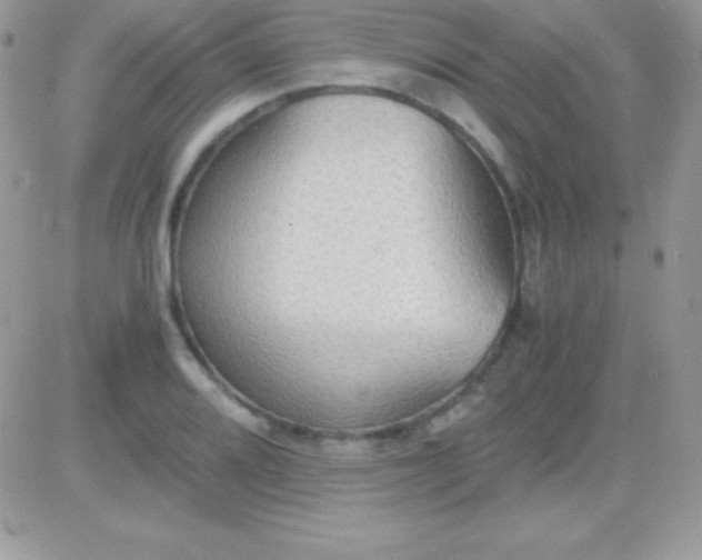 X0000081371080200701252008