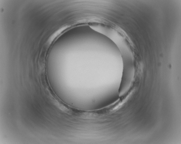 X0000081371081200701252008