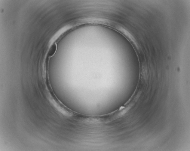X0000081371082200701252008