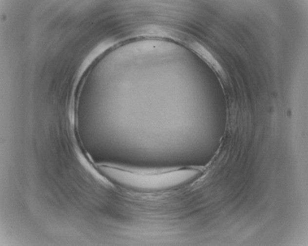 X0000081371084200701252008
