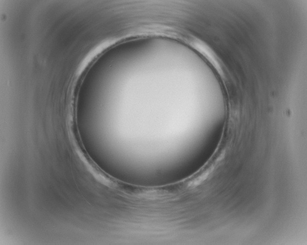 X0000081371093200701252008