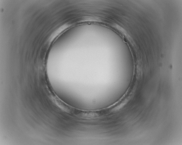 X0000081371129200701252007