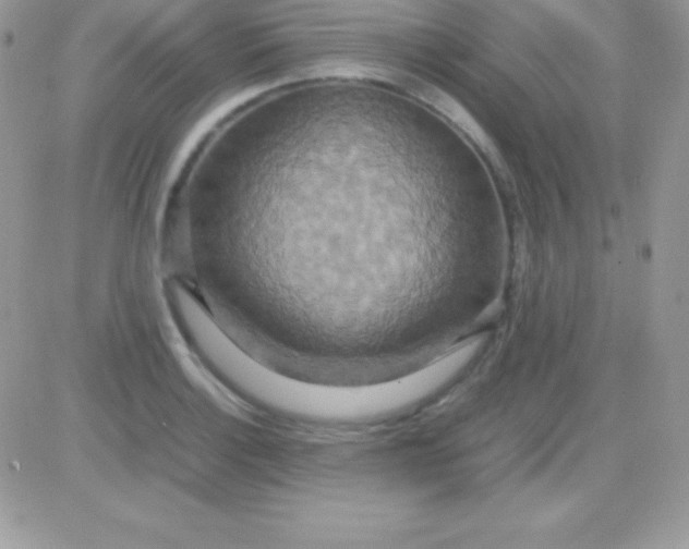 X0000081371132200701252007