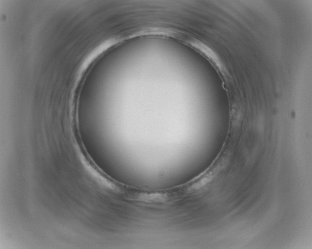 X0000081371135200701252007