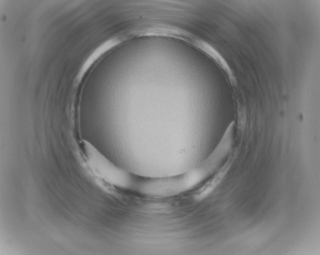 X0000081371138200701252007