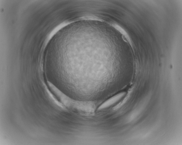 X0000081371141200701252008