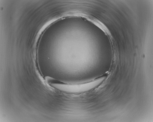 X0000081371144200701252008