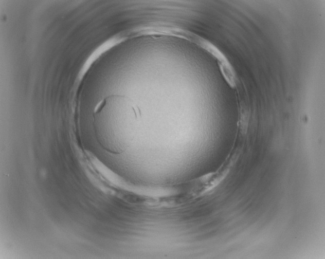 X0000081371146200701252008