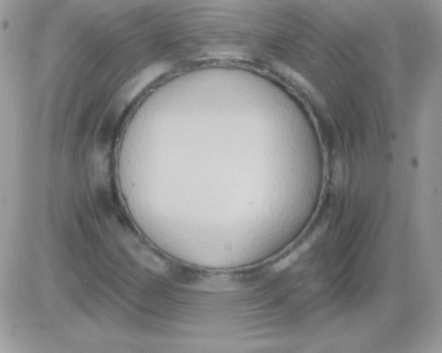 X0000081371162200701252007