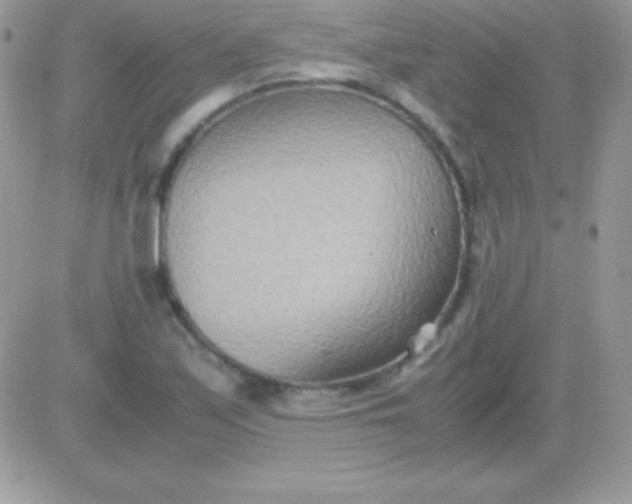 X0000081371171200701252007