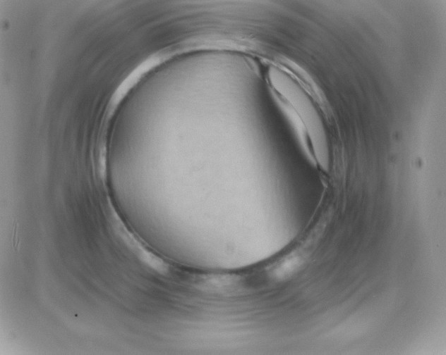 X0000081371188200701252006