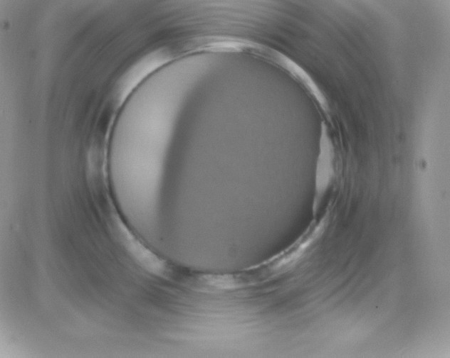 X0000081371194200701252006