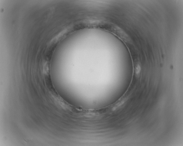 X0000081371204200701252005