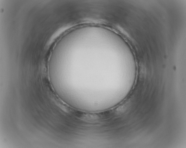 X0000081371215200701252006