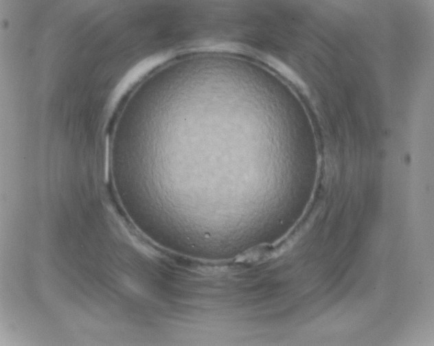 X0000081371223200701252006