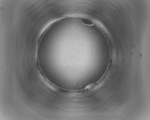 X0000081371228200701252006
