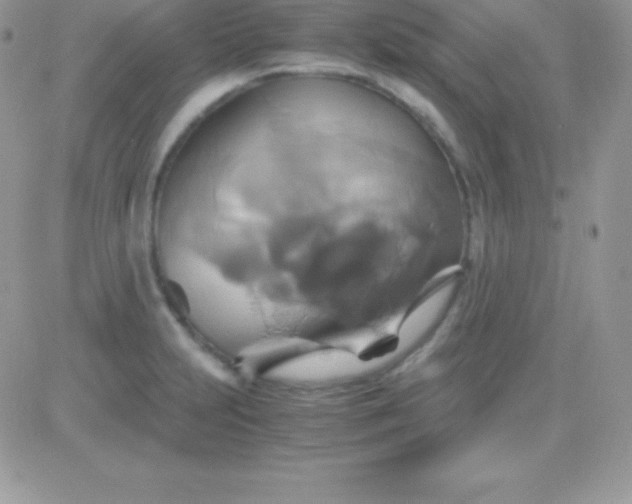 X0000081371231200701252006