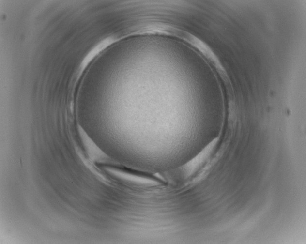 X0000081371234200701252006