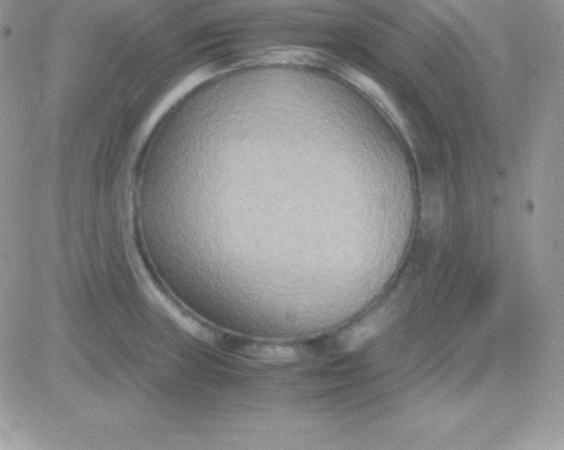 X0000081371235200701252006