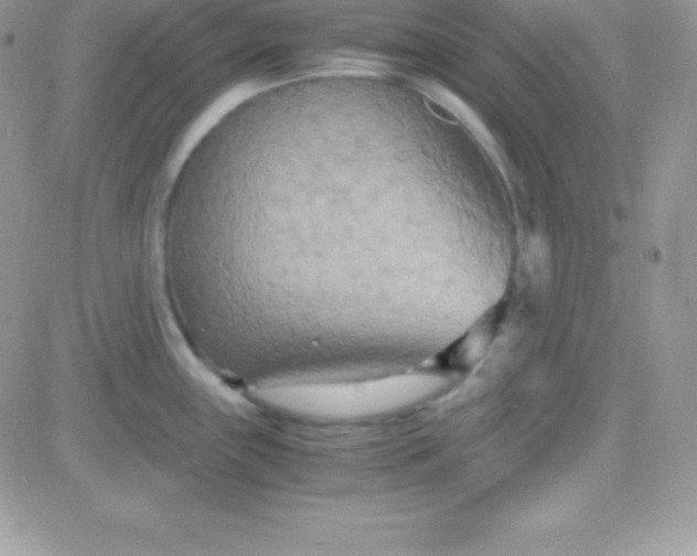 X0000081371243200701252006