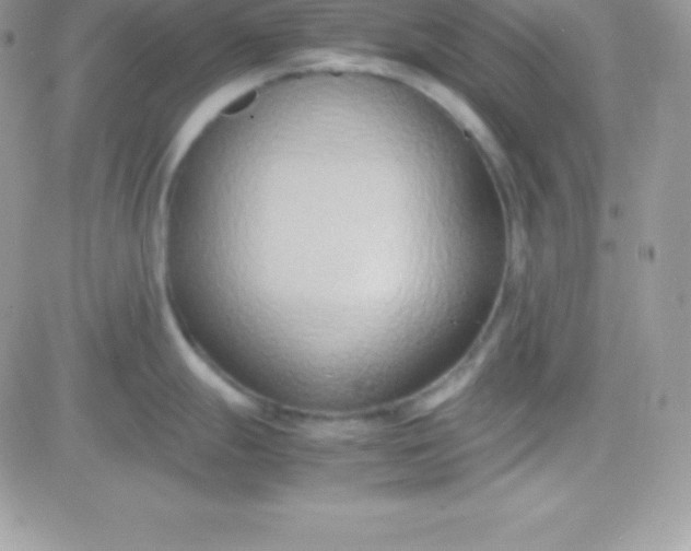 X0000081371247200701252006