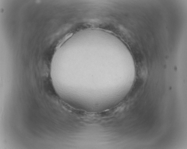 X0000081371253200701252005