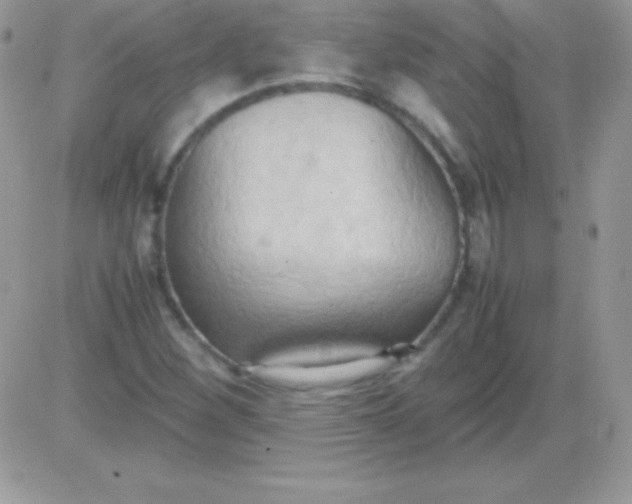 X0000081371260200701252005
