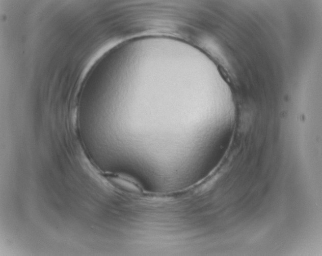 X0000081371284200701252005