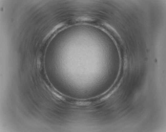 X0000081371305200701252004