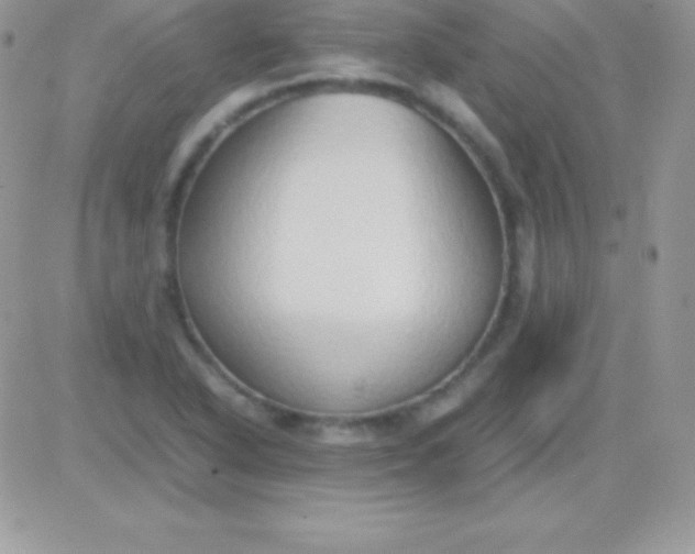 X0000081371318200701252004