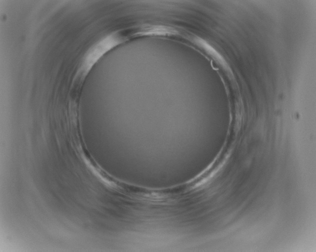 X0000081371329200701252004