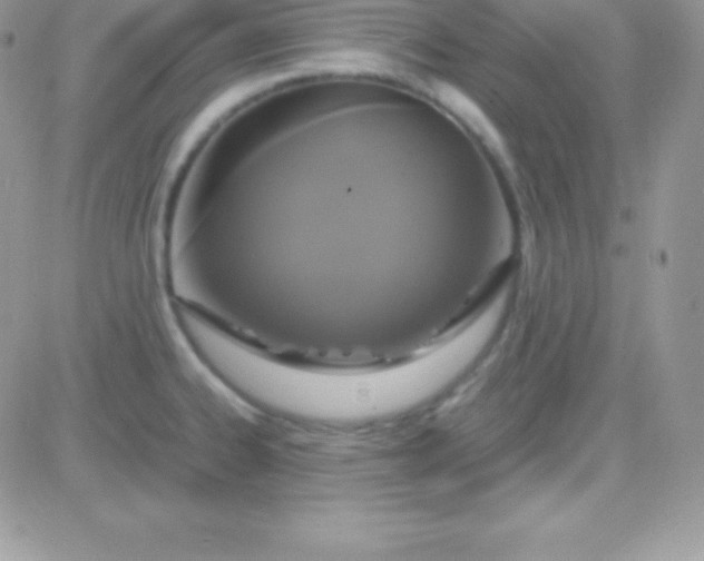X0000081371334200701252004