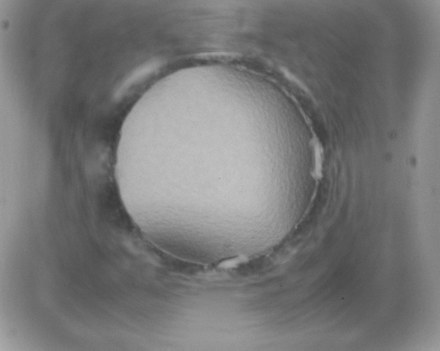 X0000081371351200701252004