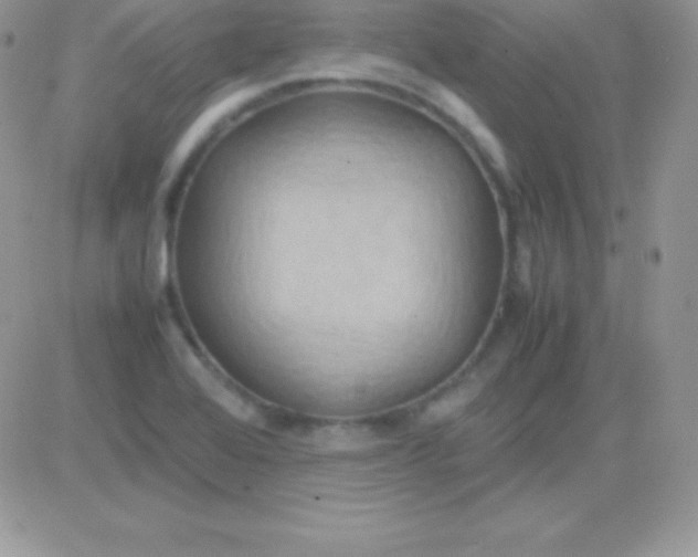 X0000081371368200701252003