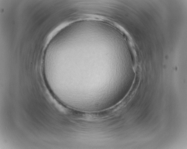 X0000081371379200701252003