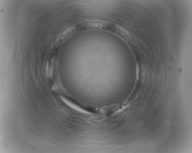 X0000081371394200701252002