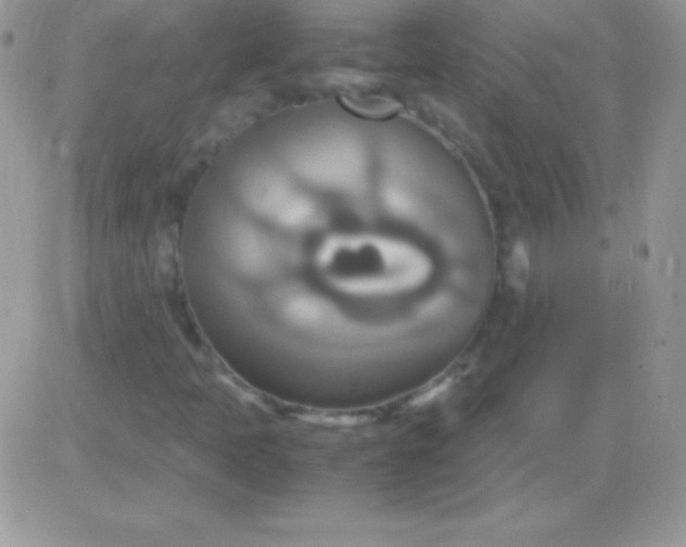 X0000081371397200701252002
