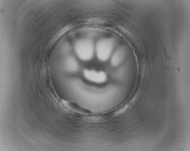 X0000081371401200701252002