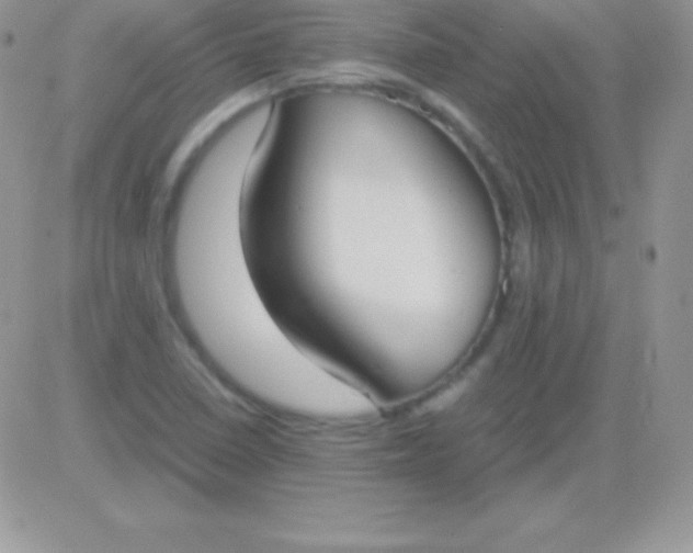 X0000081371410200701252003