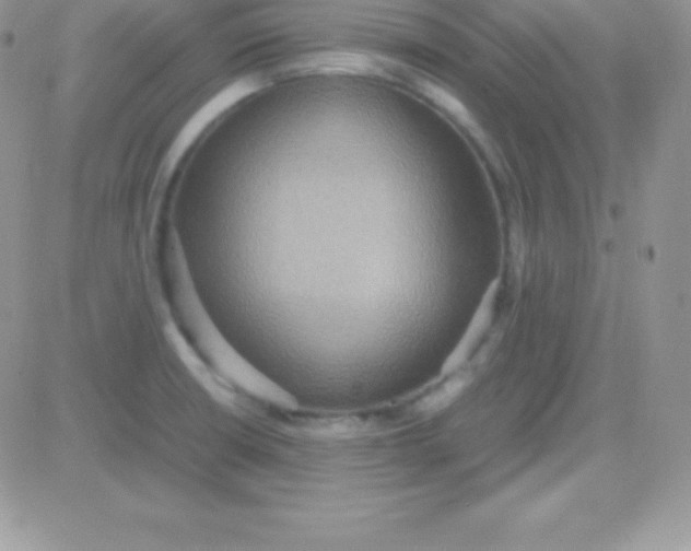 X0000081371426200701252003