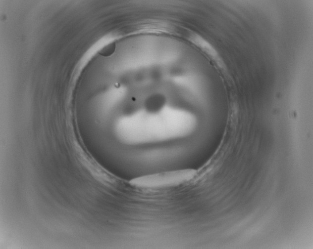 X0000081371427200701252003