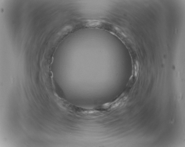 X0000081371441200701252002