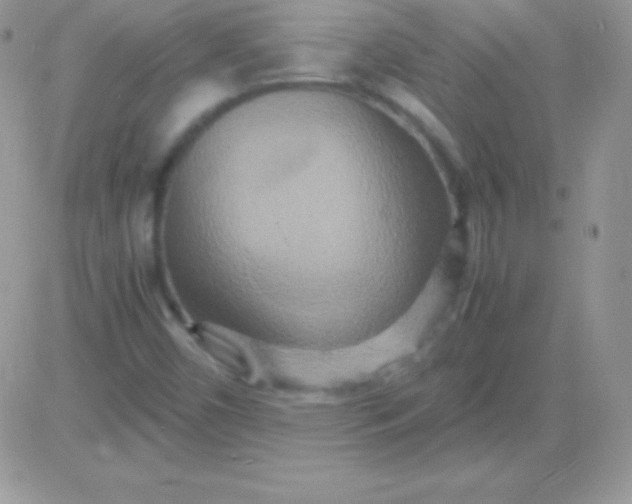 X0000081371450200701252002