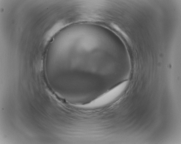 X0000081371459200701252002