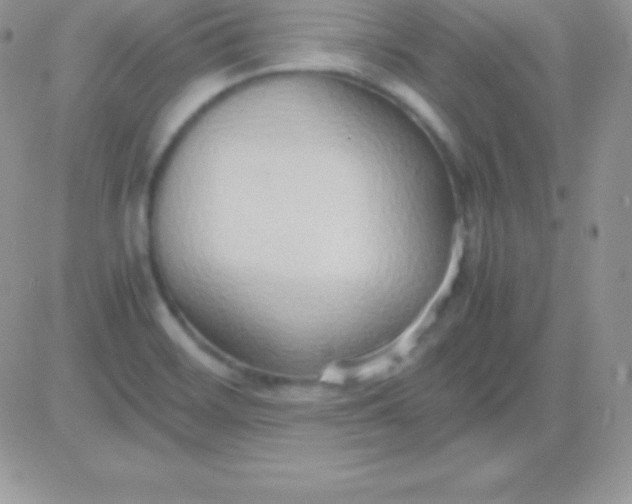 X0000081371468200701252002