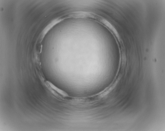 X0000081371481200701252001