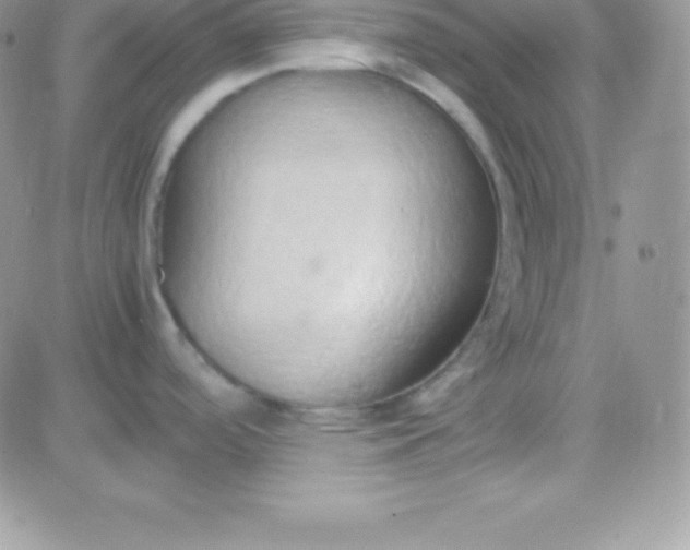 X0000081371488200701252001
