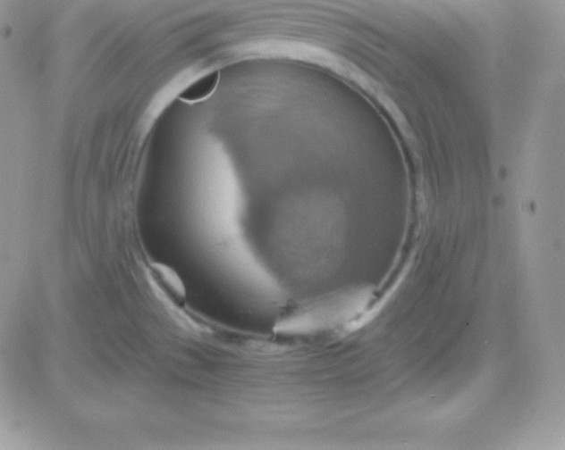 X0000081371529200701252001