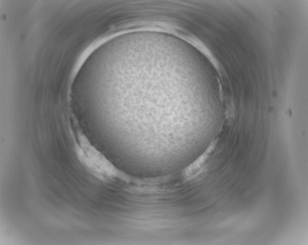 X0000081371532200701252001