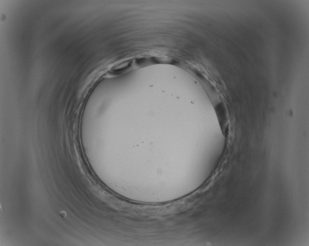 X0000081370001200702020217